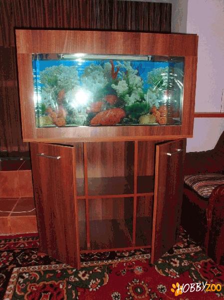 Acvariu cu mobilier 