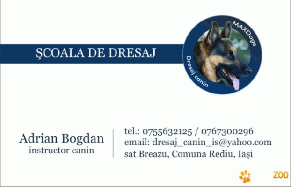 Scoala de dresaj canin MaxDogs