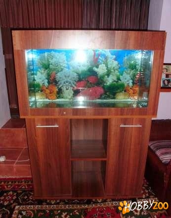 Acvariu complet cu mobilier
