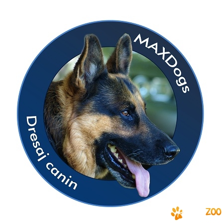 Dresaj canin de companie, paza,protectie