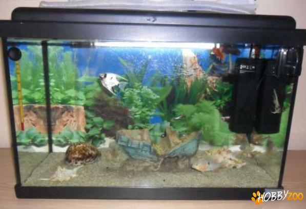 Acvariu capac neon pompa