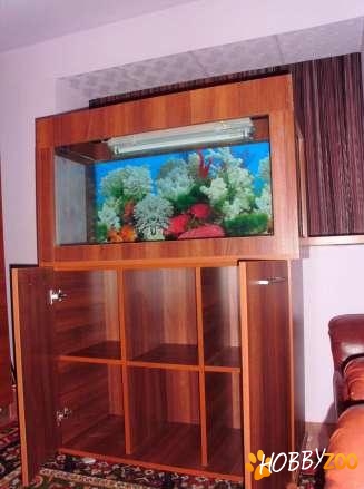 acvarii geam pesti exotici