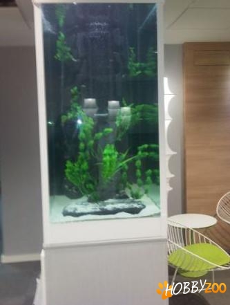 amenajez acvarii la comanda