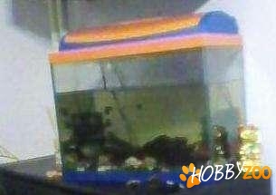 Acvariu cu capac echipat