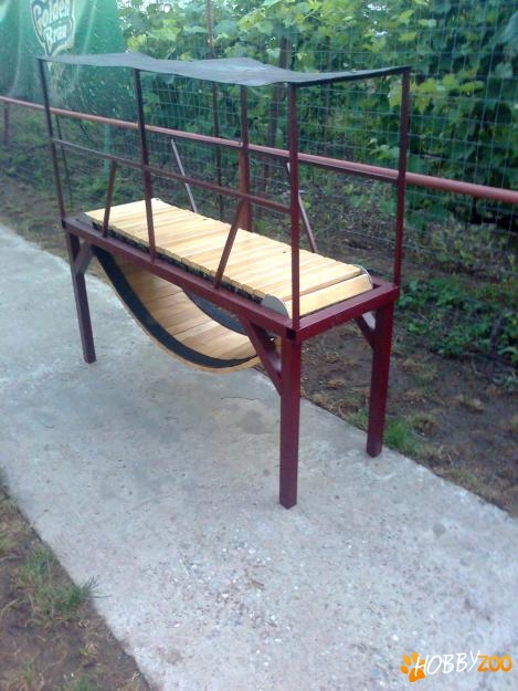 band pentru caini 