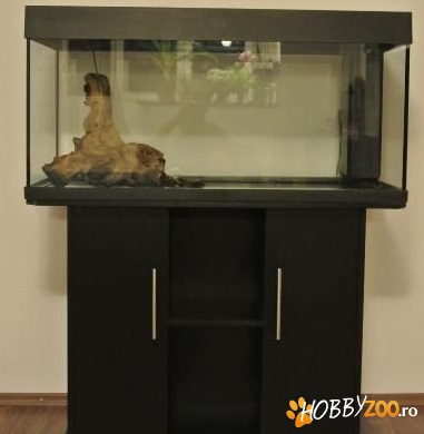 Acvariu Juwel Rio cu mobilier