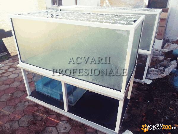ACVARII PENTRU PESCARII