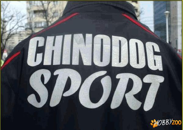scoala de dresaj caini utilitari