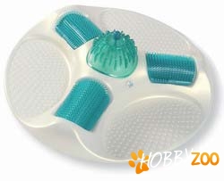 CAT SPA