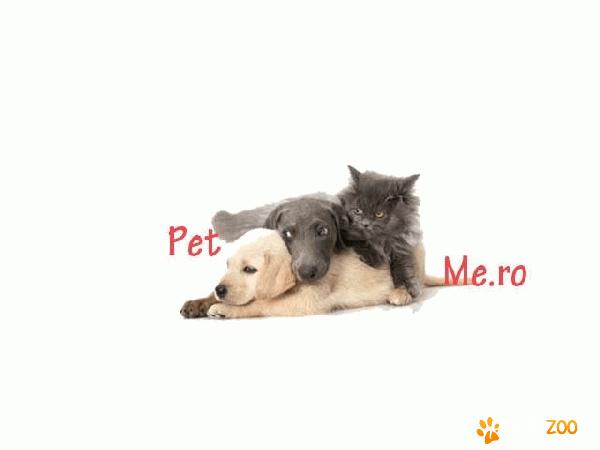 Pet shop online animale de companie