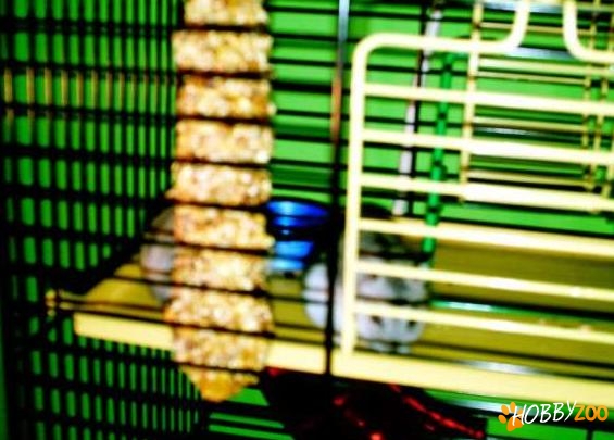 cusca hamster cu etaj