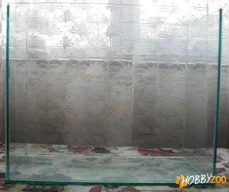 acvarii la pret de criza