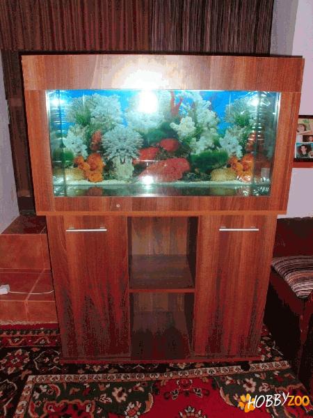 vand acvariu 175 litri 