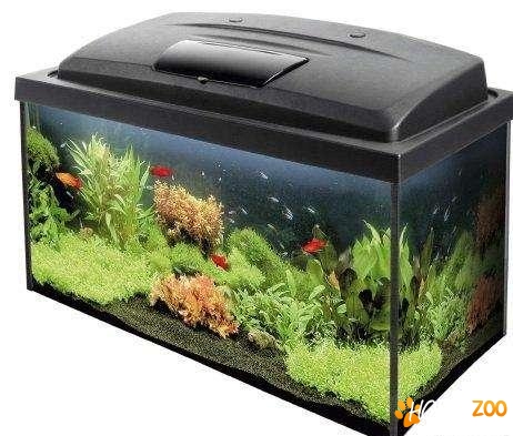 Acvariu Aquael Econoline