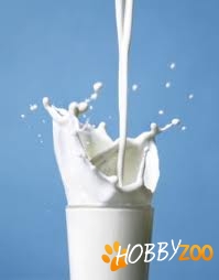 lapte de vaca ecologic