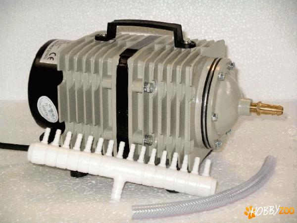  aerator hailea pentru pesti 
