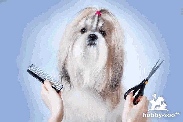 Frizerie canina și felină la domiciliul clientului 