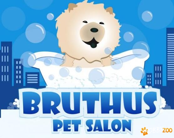 Bruthus Pet Salon servicii animale