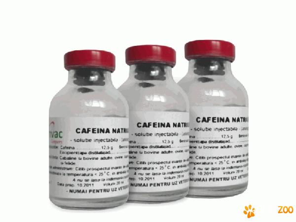 CAFEINĂ NATRIUM BENZOICĂ