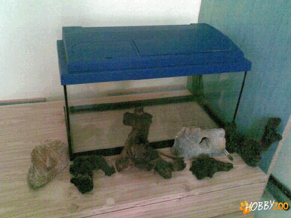 acvariu litri cu iluminare