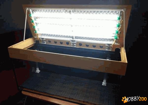 ieftin acvariu Eheim 160 L