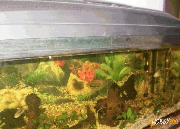 Acvariu de 125l aquael