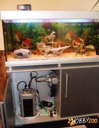 Acvariu complet hranitor 